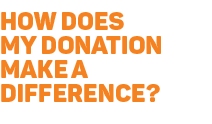 donationinfo